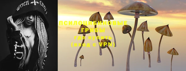 не бодяженный Нефтекумск
