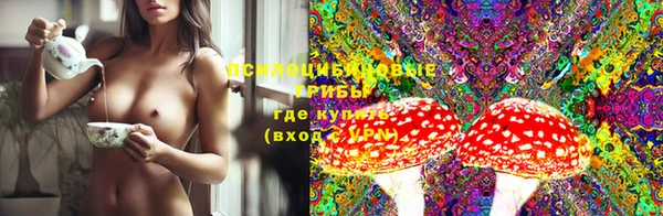 не бодяженный Нефтекумск