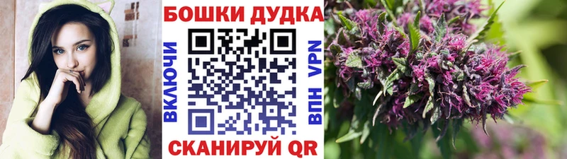 Конопля Bruce Banner  блэк спрут онион  Армавир 
